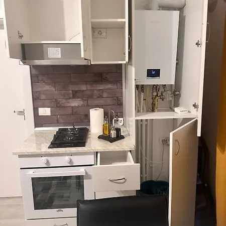 Boheme 公寓 蒂米什瓦拉