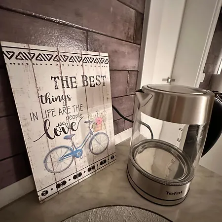 公寓 Boheme 蒂米什瓦拉