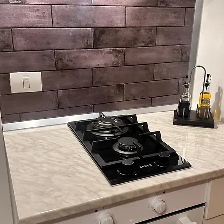 Boheme 公寓 蒂米什瓦拉