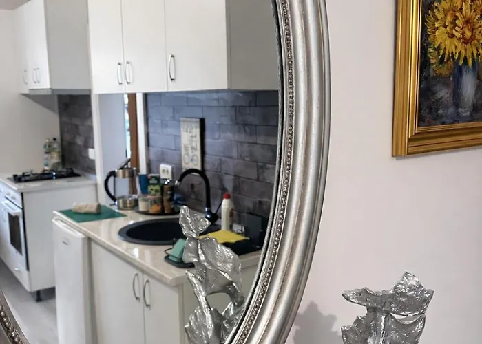 Apartament Boheme Timișoara